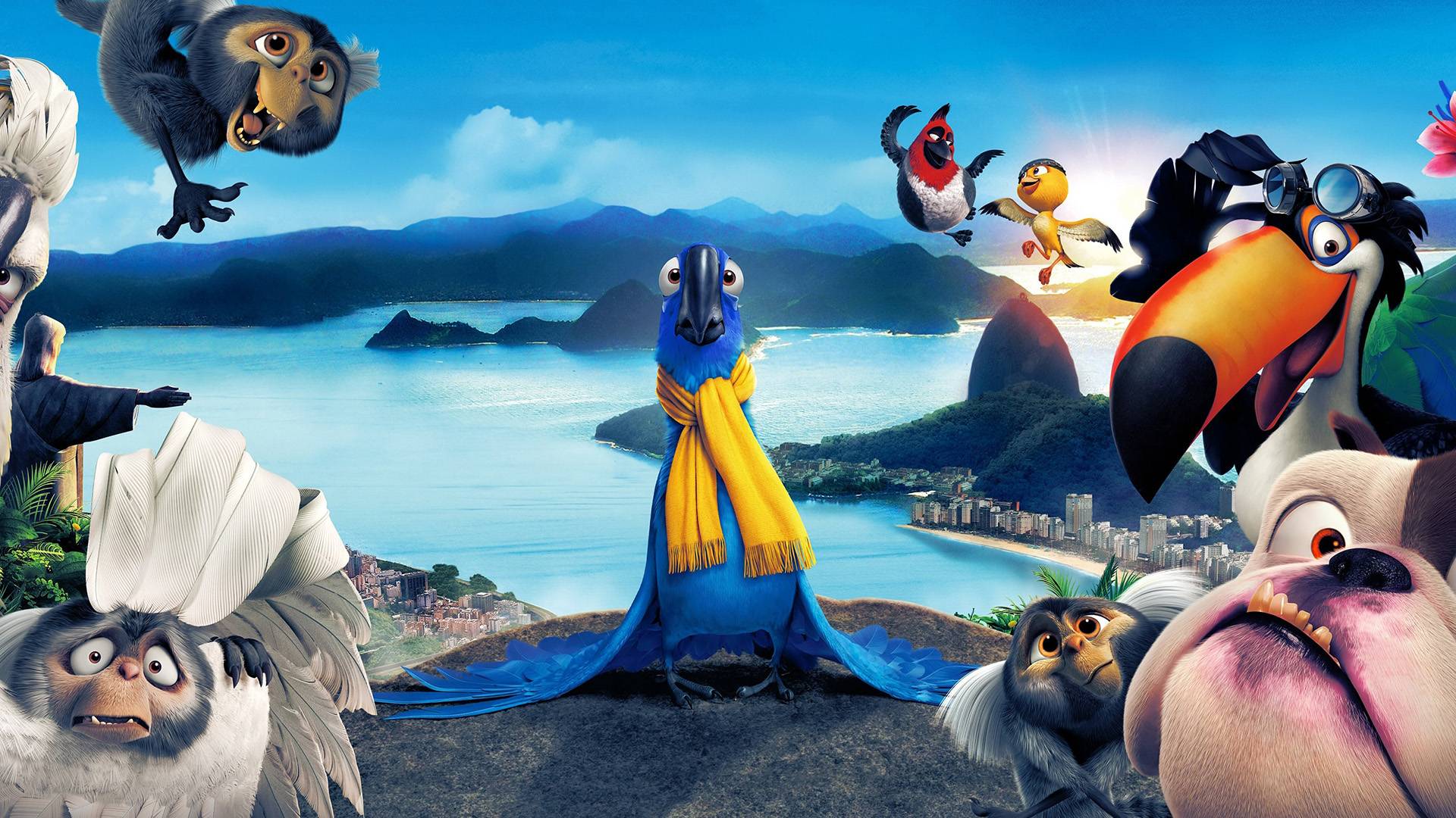 Rio Rio